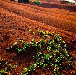 日经新闻证实：索尼收购角川集团 正在谈判早期阶段